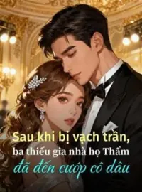 Bìa tiểu thuyết Sau khi bị vạch trần, ba thiếu gia nhà họ Thẩm đã đến cướp cô dâu