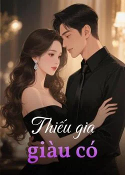 Bìa tiểu thuyết Thiếu gia giàu có