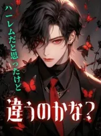 ハーレムだと思ったけど違うのかな? の小説カバー
