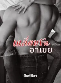 หน้าปกนวนิยาย เหลี่ยมรักอาเขย
