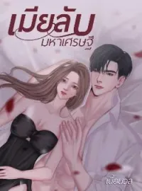 หน้าปกนวนิยาย เมียลับมหาเศรษฐี