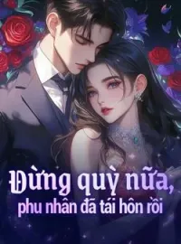 Bìa tiểu thuyết Đừng quỳ nữa, phu nhân đã tái hôn rồi