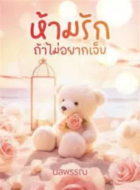 หน้าปกนวนิยาย ห้ามรักถ้าไม่อยากเจ็บ