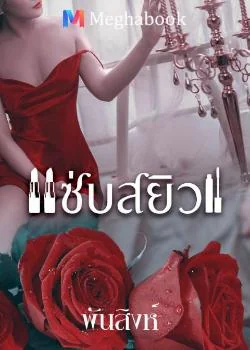 ภาพปกนิยายเรื่อง แซ่บสยิว