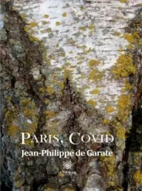 Couverture du roman Paris, Covid
