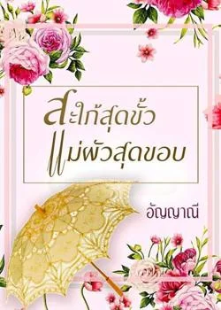 หน้าปกนวนิยาย สะใภ้สุดขั้ว แม่ผัวสุดขอบ