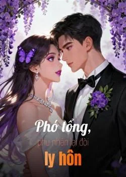 Bìa tiểu thuyết Phó tổng, phu nhân lại đòi ly hôn
