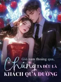 Bìa tiểu thuyết Gió nam thoáng qua, chúng ta đều là khách qua đường