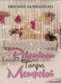Sampul Novel Pelaminan Tanpa Mempelai