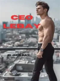 Sampul Novel CEO LEBAY