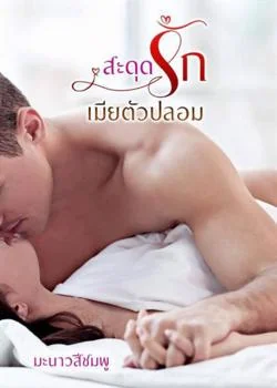 หน้าปกนวนิยาย สะดุดรักเมียตัวปลอม