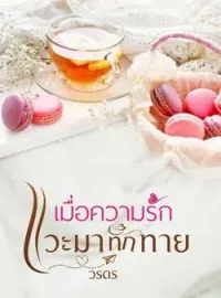 หน้าปกนวนิยาย เมื่อความรักแวะมาทักทาย