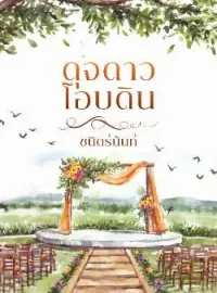 หน้าปกนวนิยาย ดุจดาวโอบดิน