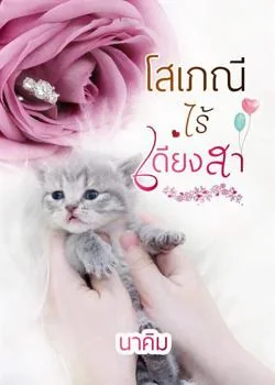 ภาพปกนิยายเรื่อง โสเภณีไร้เดียงสา