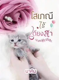 หน้าปกนวนิยาย โสเภณีไร้เดียงสา