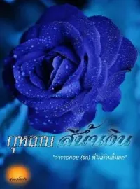หน้าปกนวนิยาย กุหลาบสีน้ำเงิน[ An impossible love ]
