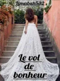 Couverture du roman Le vol du bonheur 1