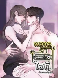 หน้าปกนวนิยาย พลาดรักพ่อหนุ่มไอที