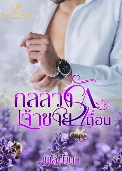 ภาพปกนิยายเรื่อง กลลวงรักเจ้าชายเถื่อน