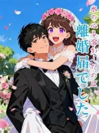 氷の心を溶かしたのは、離婚届でした の小説カバー