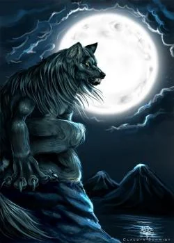 Couverture du roman Les jumeaux loup garou