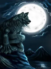 Les jumeaux loup garou 