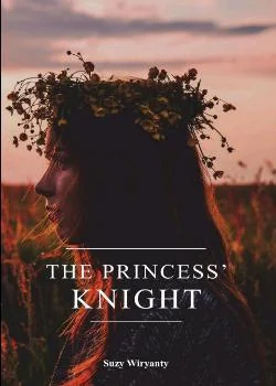 Sampul Novel The Princess Knight