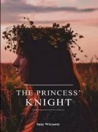 Sampul Novel The Princess Knight