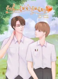 หน้าปกนวนิยาย รักนี้...ไม่จำกัดนิยาม