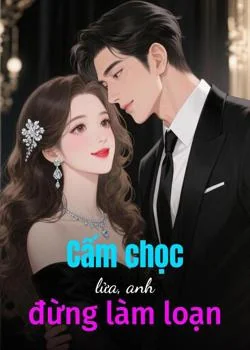 Bìa tiểu thuyết Cấm chọc lửa, anh đừng làm loạn