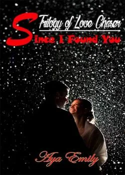 Sampul Novel Since I Found You