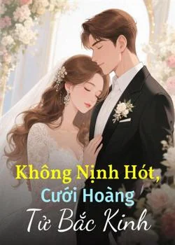 Bìa tiểu thuyết Không Nịnh Hót, Cưới Hoàng Tử Bắc Kinh