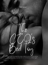 The CEO’s Bed Toy Novel Cover
