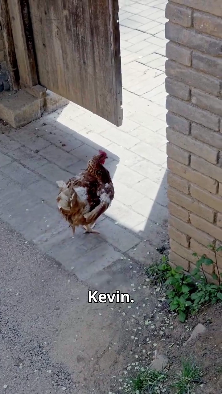 [Versi suara dubbing] Sage Buta: Warisan Nagafoto