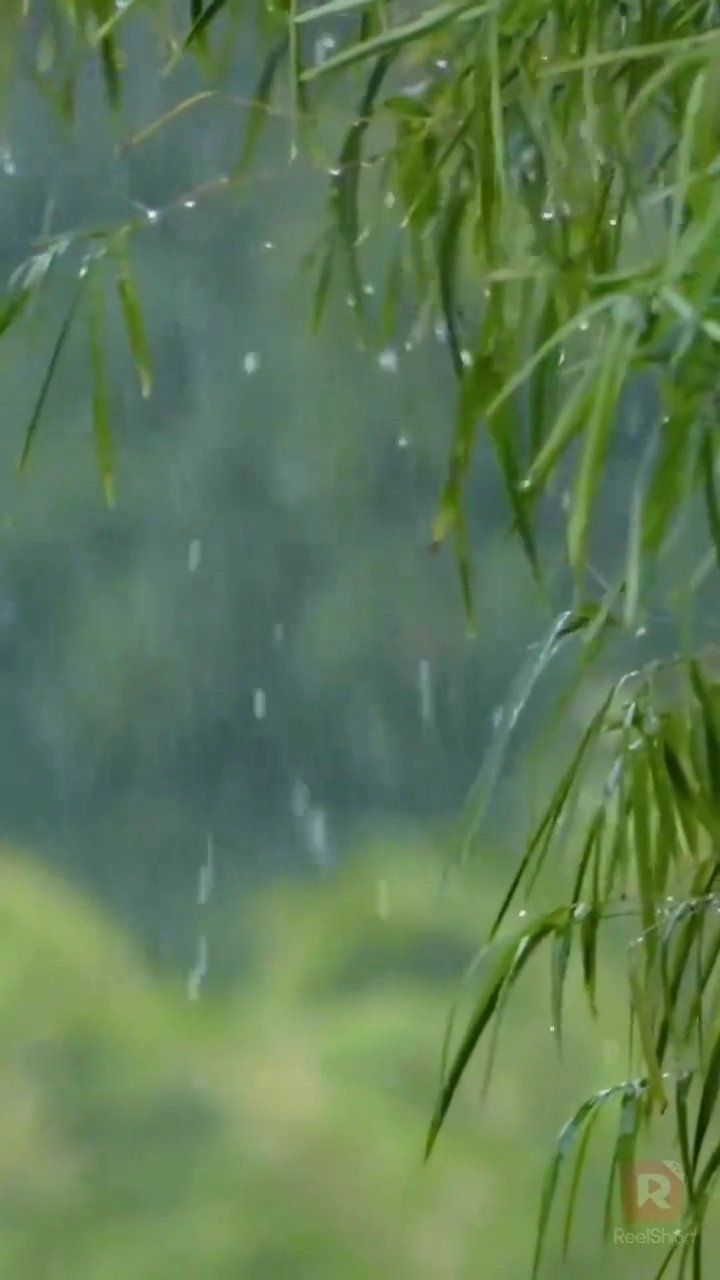 Jenderal yang Mencintai Wanitanyafoto