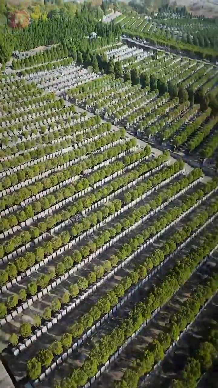 Di Dunia Ini Tak Ada yang Sehebatkufoto