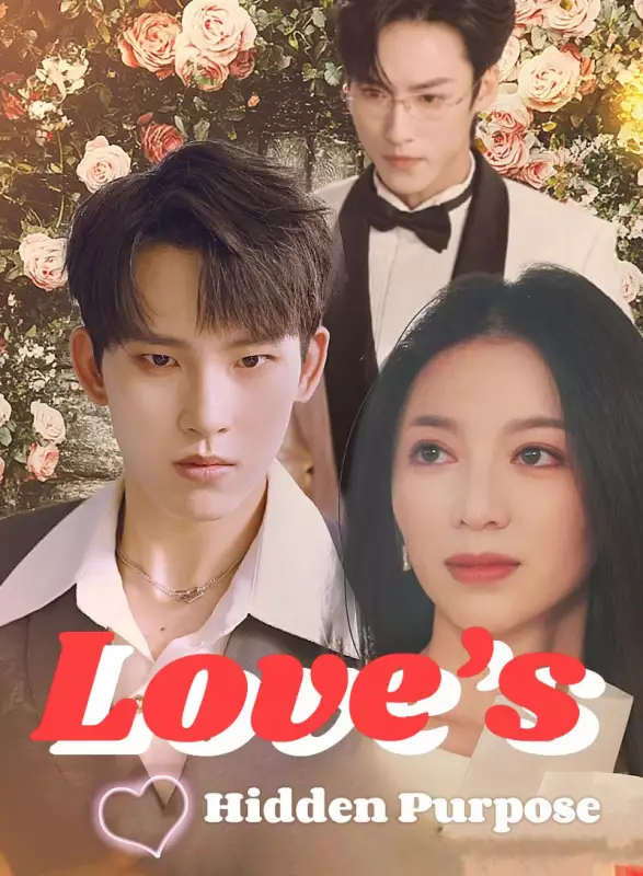 Love’s Hidden PurposeMini Series