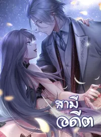 ภาพปกนิยายเรื่อง สามีอดีต