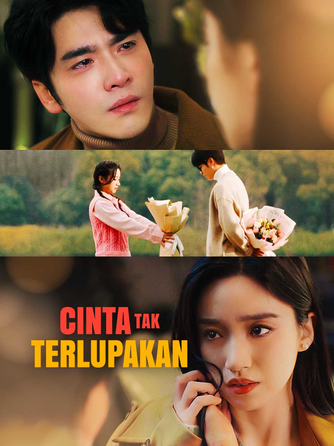 Cinta Tak TerlupakanMini Seri