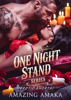 One Night Stand Series  Novel Cover