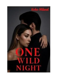 ONE WILD NIGHT Novel Cover