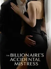 The Billionaire's Accidental Mistress Novel Cover