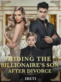 Hiding The Billionaire's Son After Divorce Novel Cover