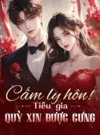 Bìa tiểu thuyết Cấm ly hôn! Tiêu gia quỳ xin được cưng