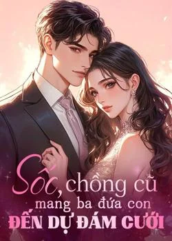 Bìa tiểu thuyết Sốc, chồng cũ mang ba đứa con đến dự đám cưới