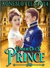 Sampul Novel Undercover Prince