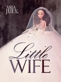 Sampul Novel Little Wife