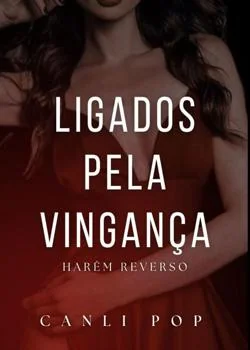 Capa do romance Ligados pela vingança