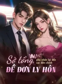 Bìa tiểu thuyết Sở tổng, phu nhân lại đến cục dân chính đề đơn ly hôn