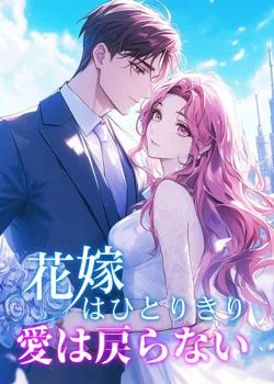 花嫁はひとりきり、愛は戻らない の小説カバー